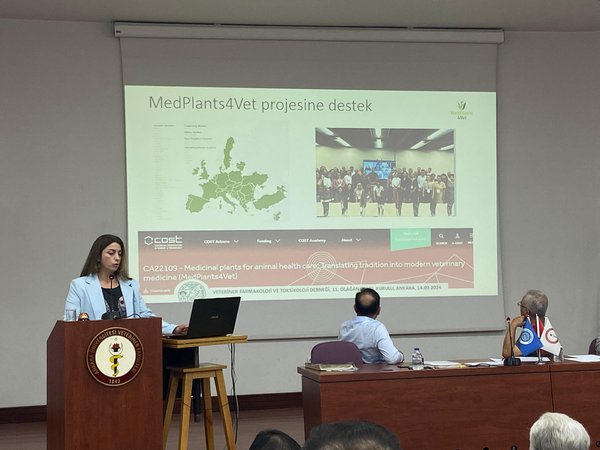 Woman giving a presentation.