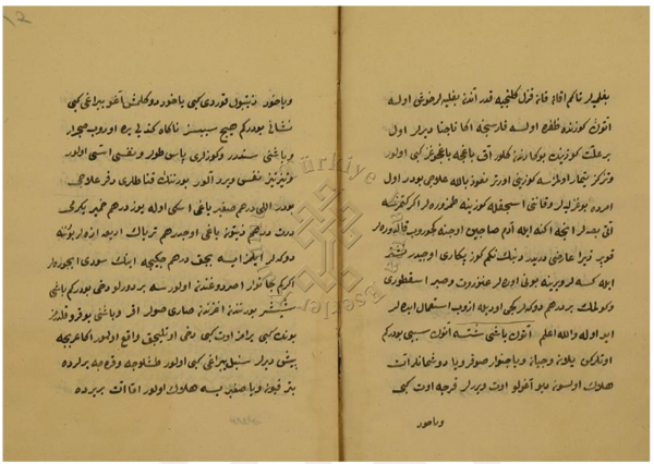 Digitised double page of an old book.