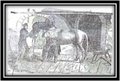 The title page of N. V. Kodrikas' 1853 veterinary textbook.