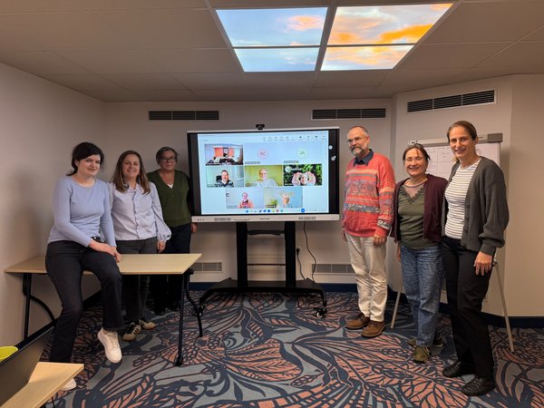 People are standing to the left and right of a screen on which other online participants can be seen.